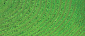 Basic Dye - (1/2 oz) - Image 14